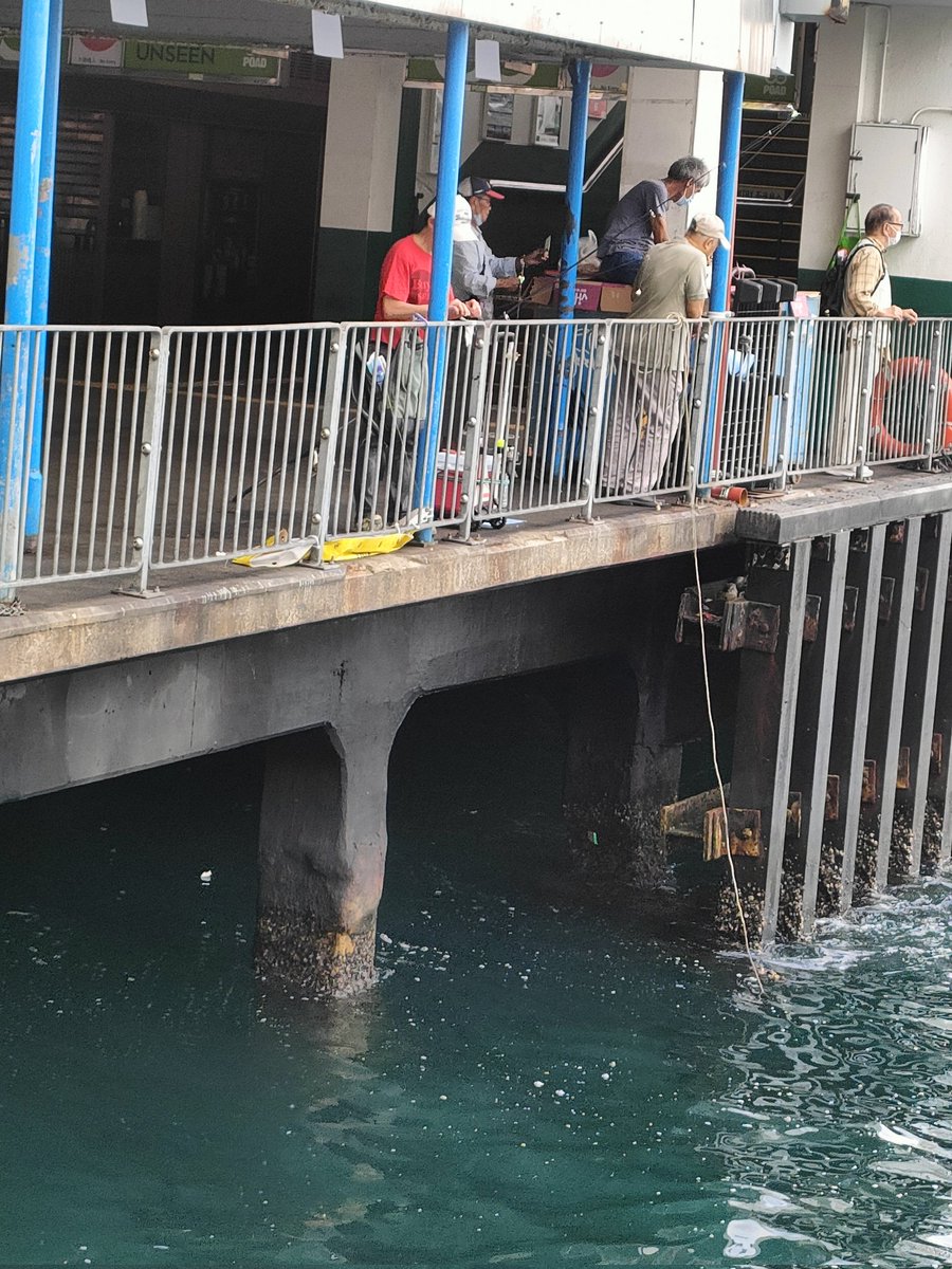 BlueBird_003's tweet photo. スターフェリーの尖沙咀フェリーターミナル辺りで魚を🎣竿や仕掛を使って捕獲試みてるおじちゃん達を観察してみた✨愉しそう！🐟 https://t.co/KS58nShN0h