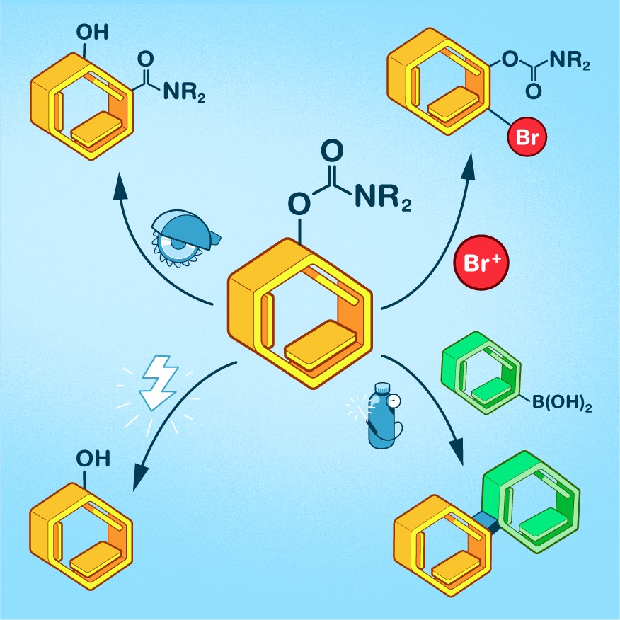 Ross Jansen-van Vuuren (@rossvanvuuren) on Twitter photo Finally, our review on aryl O-carbamates as DMGs (published with the late world-renowned chemist, prof Vic Snieckus) is online!
Thanks for all the hard work & support, <a href="/KosmrljGroup/">Košmrlj Group</a> <a href="/ACSChemRev/">Chemical Reviews</a> <a href="/unilj/">univerzalj</a> <a href="/Rajshahivarcity/">Rajshahi University</a> <a href="/queensu/">Queen's University</a> <a href="/QueensChem/">Queenschem Kingston</a> <a href="/EutopiaUni/">EUTOPIA</a>.
doi.org/10.1021/acs.ch… Finally, our review on aryl O-carbamates as DMGs (published with the late world-renowned chemist, prof Vic Snieckus) is online!
Thanks for all the hard work & support, <a href="/KosmrljGroup/">Košmrlj Group</a> <a href="/ACSChemRev/">Chemical Reviews</a> <a href="/unilj/">univerzalj</a> <a href="/Rajshahivarcity/">Rajshahi University</a> <a href="/queensu/">Queen's University</a> <a href="/QueensChem/">Queenschem Kingston</a> <a href="/EutopiaUni/">EUTOPIA</a>.
doi.org/10.1021/acs.ch…