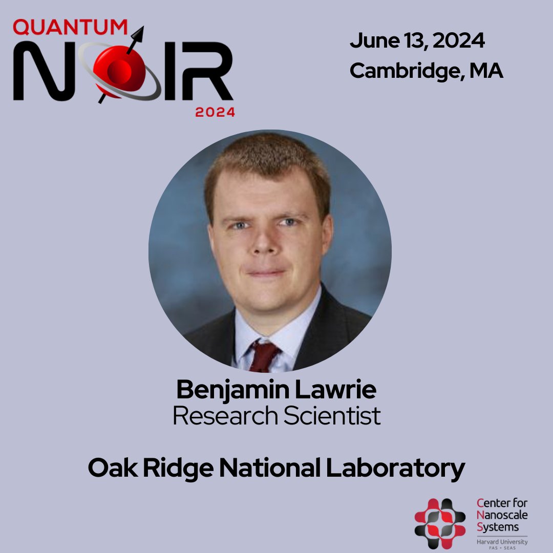 Quantum Noir tweet media