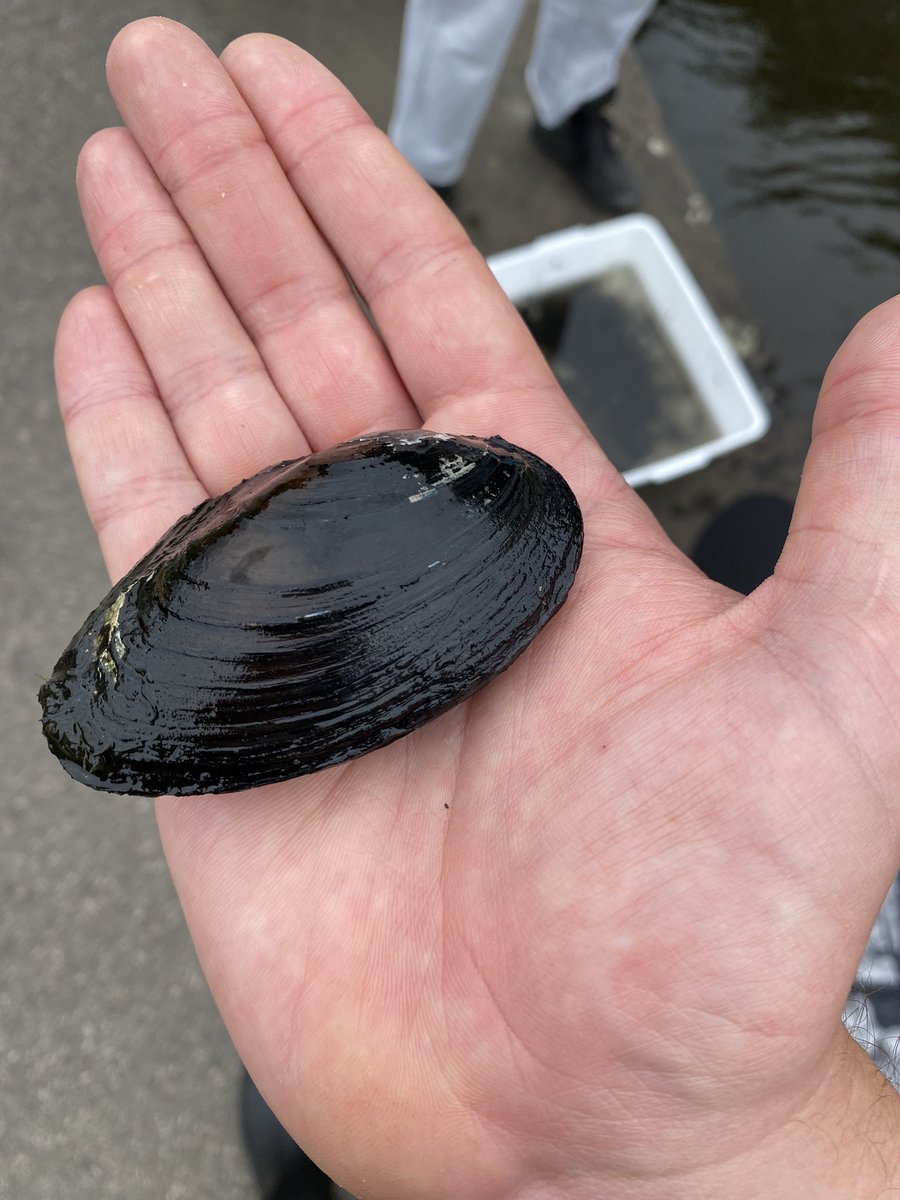 Seb 🌱🌿☘️🌱 tweet media