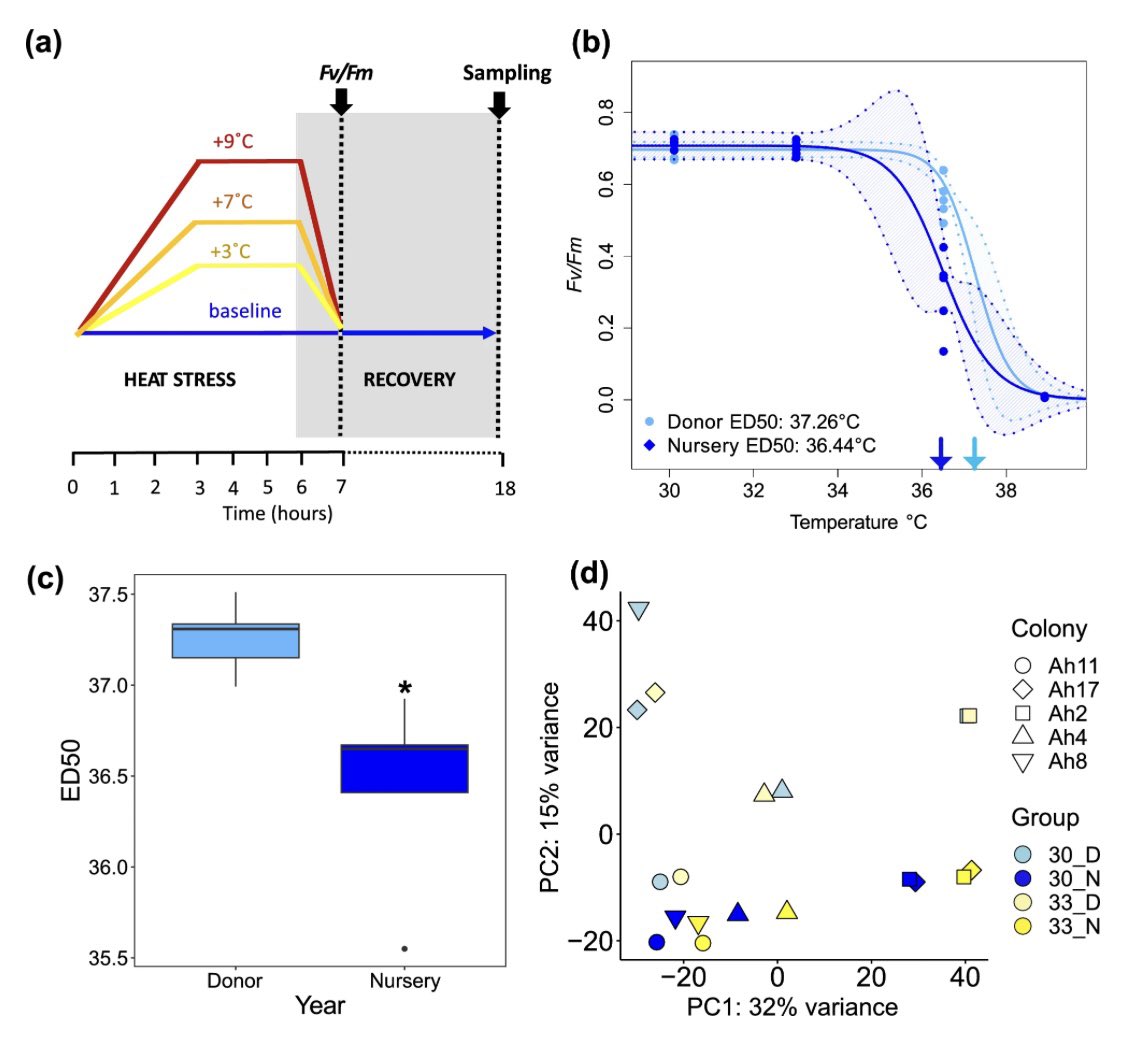 Rachel Alderdice (@alderdice_r) on Twitter photo Paper out @CoralReefs: non-visible legacy effects from consecutively high summer heat-loads detected with #CBASS screening in propagated #coral
<a href="/emmafcamp/">Emma Camp</a> <a href="/reefgenomics/">Christian R Voolstra</a> <a href="/DavidJSuggett/">David J Suggett</a> <a href="/WavelengthReef/">Wavelength Charters</a> <a href="/SamanthaGoyen/">Samantha Goyen</a> <a href="/TrentHaydon/">Trent Haydon</a> <a href="/nunezlendo/">Dr. C. Isabel Nuñez Lendo</a> <a href="/CGBoote/">Dr Chloë Boote</a>
—> shorturl.at/6phA8 Paper out @CoralReefs: non-visible legacy effects from consecutively high summer heat-loads detected with #CBASS screening in propagated #coral
<a href="/emmafcamp/">Emma Camp</a> <a href="/reefgenomics/">Christian R Voolstra</a> <a href="/DavidJSuggett/">David J Suggett</a> <a href="/WavelengthReef/">Wavelength Charters</a> <a href="/SamanthaGoyen/">Samantha Goyen</a> <a href="/TrentHaydon/">Trent Haydon</a> <a href="/nunezlendo/">Dr. C. Isabel Nuñez Lendo</a> <a href="/CGBoote/">Dr Chloë Boote</a>
—> shorturl.at/6phA8