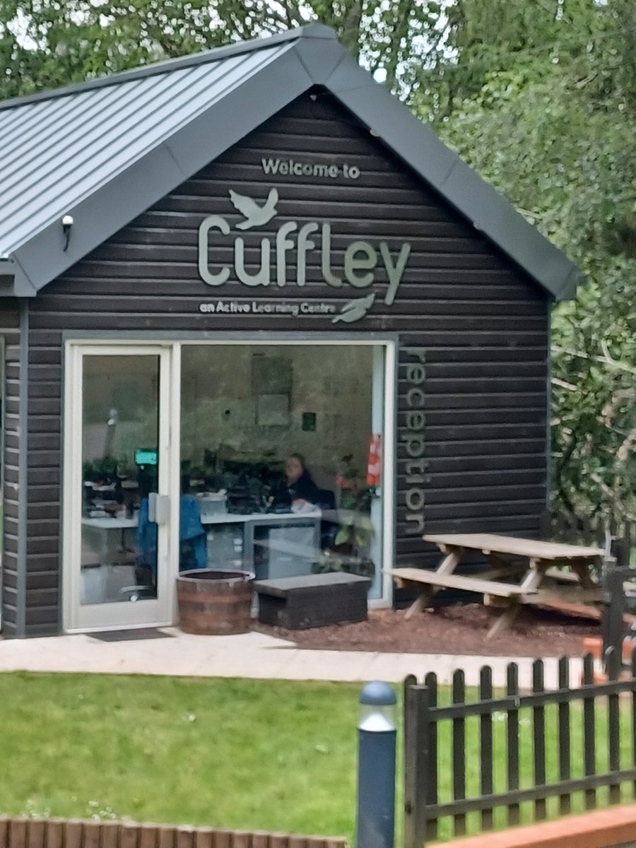 Our children have had no phones, computers, TV, PlayStation or social media for 4 days. They have rediscovered the art of chatting, making up games, enjoying each others company, climbing trees and simply being 11 years old. What a joy. 🙂#Cuffley2024Poplar