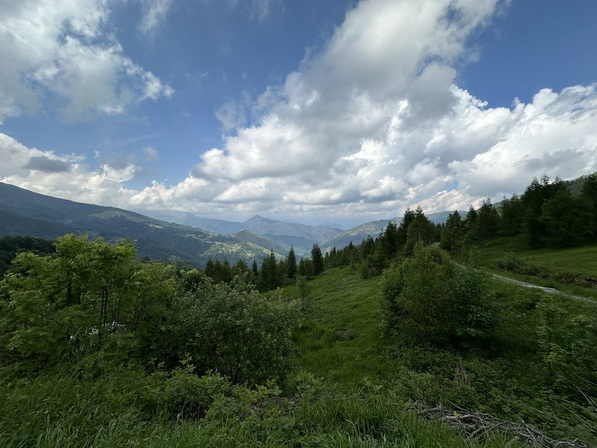 Viciupacciu's tweet photo. Un saluto dal #ColleDelLys ⛰️🚴🏼♂️💪
(Mt. 1.300)
#Ciclismo https://t.co/cy1IlinIYc
