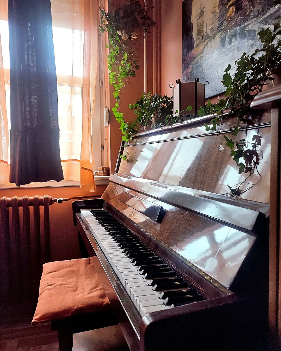 NellyMonk1's tweet image. Don&apos;t take anything for granted, it s there for reason and use it whenever you can for your growth and understanding the life itself 🌌🎹🎼

#independentmusician #pianotime #pianoplaying #musictime #musiclifestyle #musictime