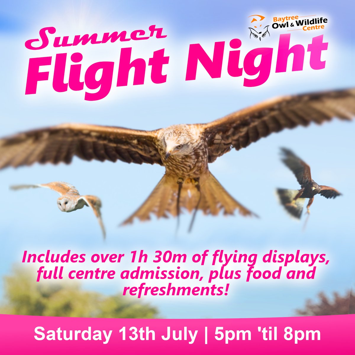 ☀️Get ready for a night of food, fun and feathers as our sizzling Summer Flight Night returns 13th July '24! 🍔🪶Includes over 1h 30m of displays, evening meal and full admission. Adults 16+ £20, Children 3-15 £10, Under 3s Free! bowc.co.uk/flight-night