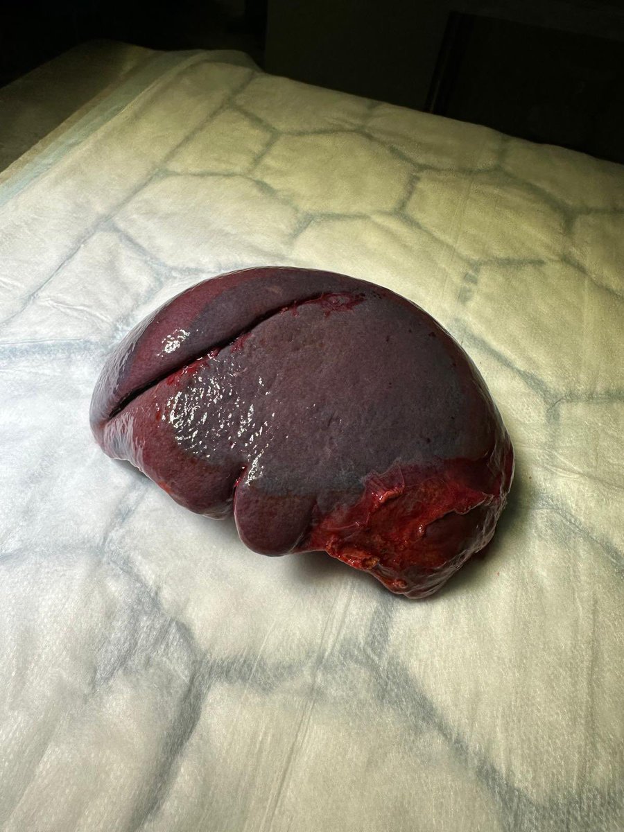 Dr Srdjan Saso tweet media