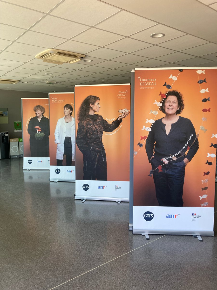 CNRS Occitanie Est tweet media