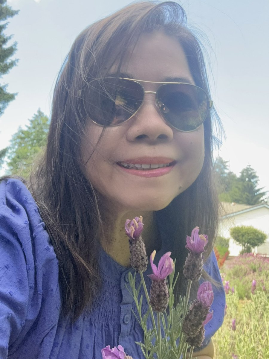 VangLinh's tweet photo. With lavender in the front yard of my house, 6-12-2024. https://t.co/3U7ppGhVVX