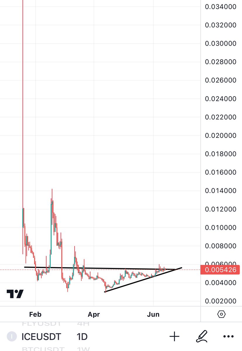 BitcoinHabebe tweet media