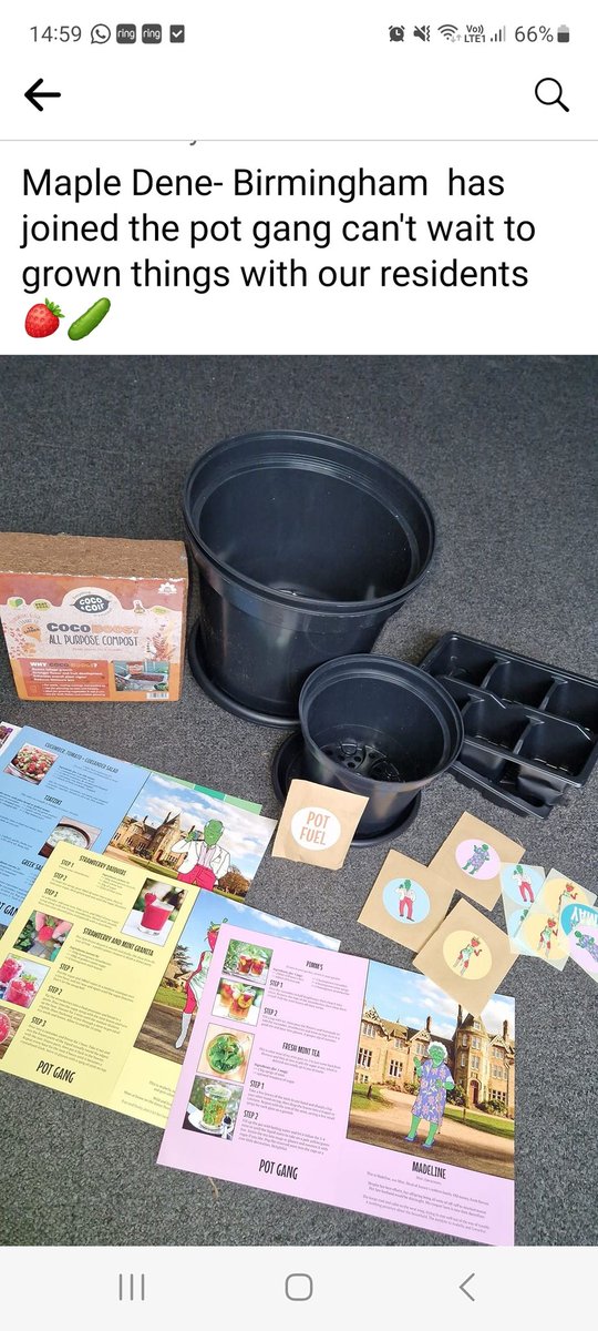 MapleDeneAH's tweet photo. Pot gang seeds are starting to grow. #potgang #activities https://t.co/HMVvvG5Nyu