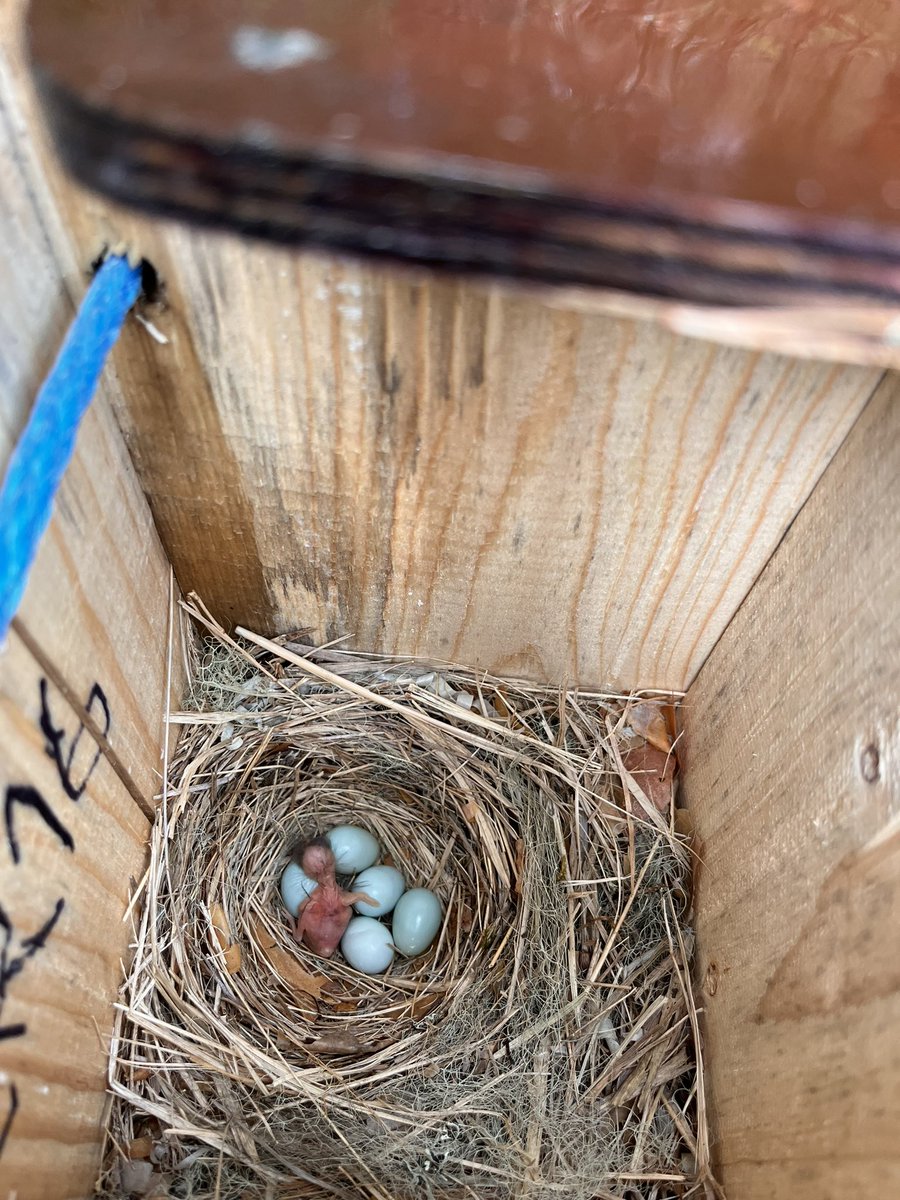 Gloria Murari tweet media