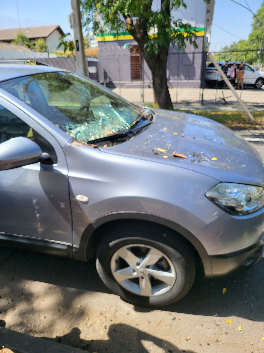 DAcitaM's tweet photo. La @Muni_LasCondes no me quiere pagar el total de los arreglos de mi auto en el taller autorizado de la marca (hace 4 meses me cayó una rama del tamaño de un tronco) porque el auto es muy "antiguo", así que no merece quedar como si nada le hubiese pasado https://t.co/bGw6HjFrBd