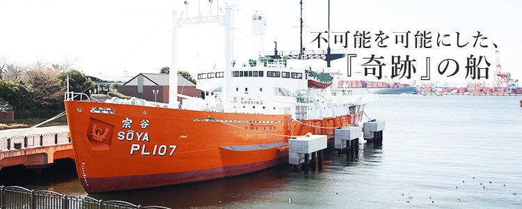 野生のうみまる (@jcg_seaman118) / Posts / X