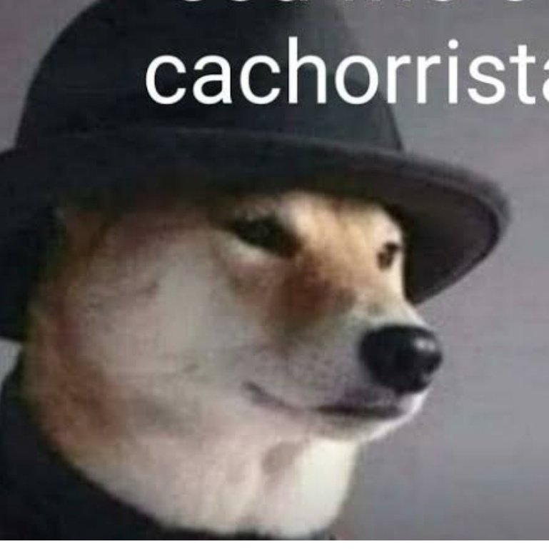 Arthur do nascimento peres tweet media