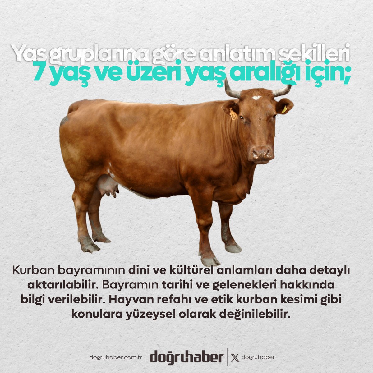 Dogruhaber's tweet photo. 📌 Kurban Bayramı çocuğun yaşına uygun anlatılmalı !
https://t.co/SKtgN7At1Z https://t.co/UjhKGCbuuB