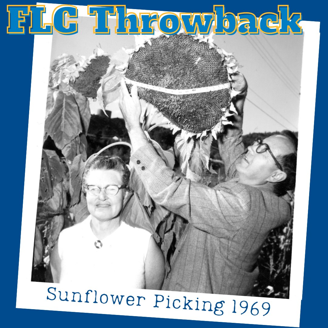 Happy June! 🌻

Throwback Thursday is brought to you by the @centerswstudiesflc and the Delaney Library archives.
If you are interested in learning more about the archives or to see their collections go to
swcenter.fortlewis.edu/learn/library-…
#ThrowbackThursday #FLCThrowback #FLCalumni