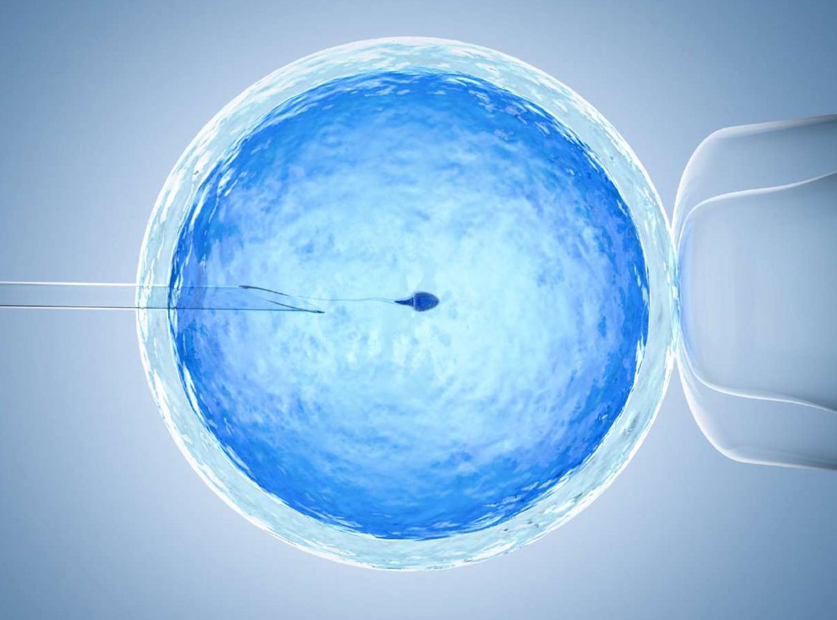 Aula Vall d'Hebron tweet media