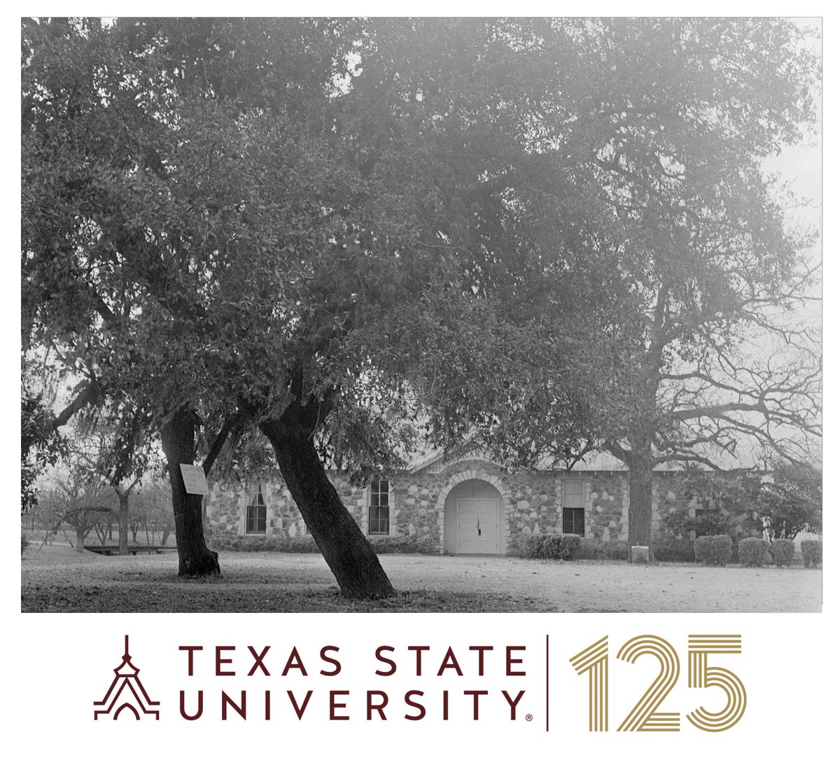 Alkek Library (@alkeklibrary) on Twitter photo Built in 1933, the historic River House is home to TXST's Transportation Services. In 1857, Sam Houston is said to have kissed local ladies that had helped his campaign at this site. The Kissing Oak still stands here today. Learn more: ow.ly/qVZy50Shfc5 #txst125 Built in 1933, the historic River House is home to TXST's Transportation Services. In 1857, Sam Houston is said to have kissed local ladies that had helped his campaign at this site. The Kissing Oak still stands here today. Learn more: ow.ly/qVZy50Shfc5 #txst125