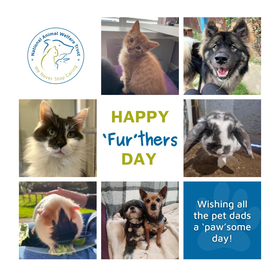 Happy 'fur'thers day to all of the amazing pet dads out there 👔🎩🐾