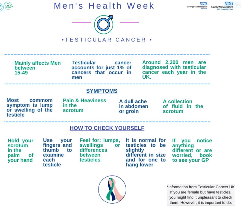A testicular self-examination is an examination of the testicles (two egg-shaped glands near the base of the penis that make sperm) to help detect testicular cancer in the early stages. It is important to do testicular exams every month in order to notice any changes.