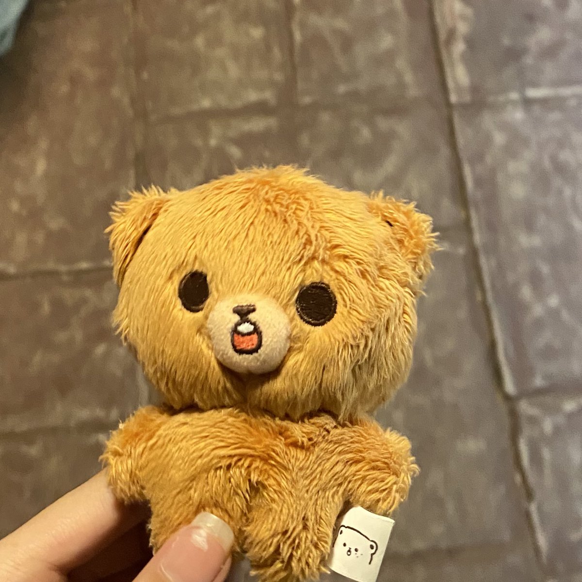 loveryellow_'s tweet photo. ส่งต่อ กมโดลี

กมโดลี 10 cm 550 รส. ( พร้อมโอน 540 )ค่า เคยพาน้องออกไปเที่ยวแล้วค่ะ

#ตลาดนัดnct #ตลาดนัดnctdream ตามหา แฮชาน https://t.co/1xC3YfnusO