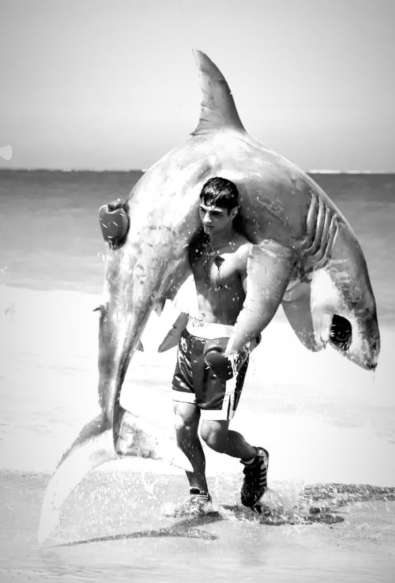 ionicXBT tweet media