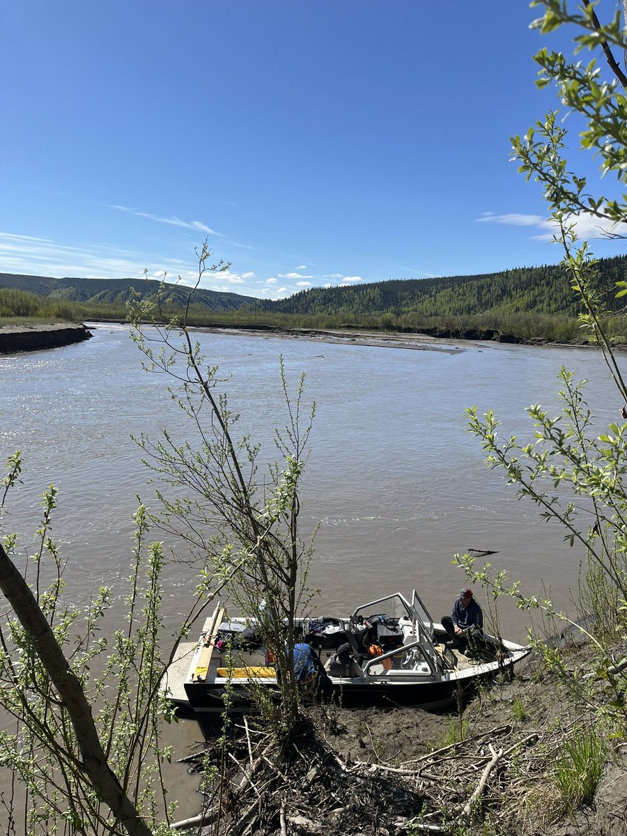 A choppy but beautiful day on the #Peel River, including a new site upstream on the Vittrekwa River, again the water level low for this time of year, but this river is always full of sediment <a href="/JoshuaFDean/">Joshua Dean @joshfdean@bsky.social</a> @leomenar11 <a href="/sulikova_sabina/">Sabina Sulikova</a>