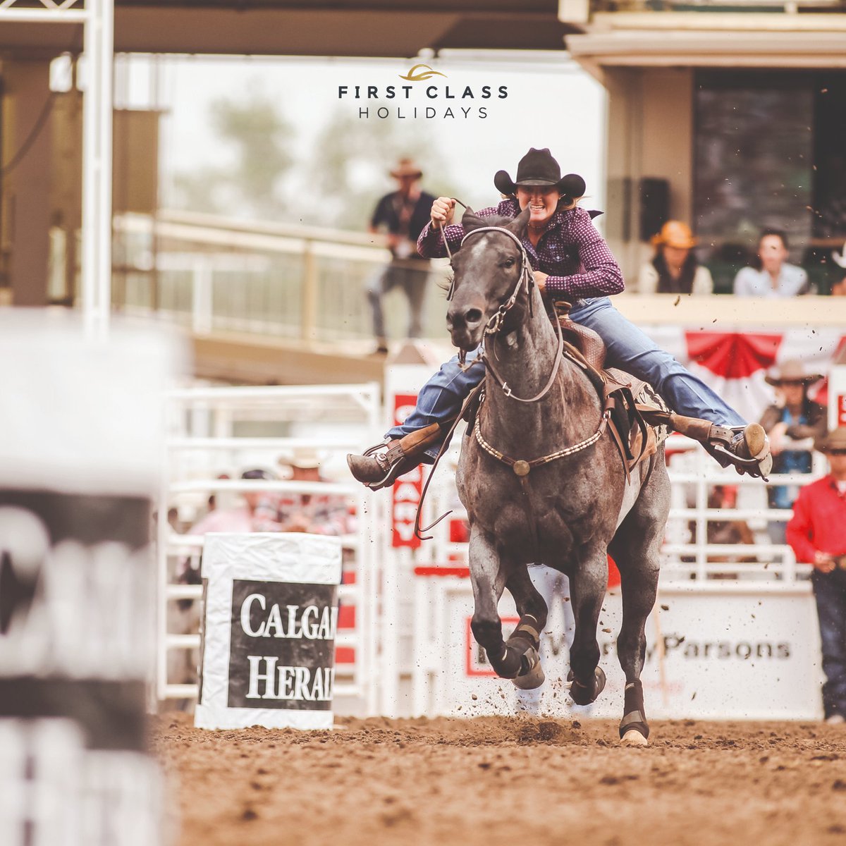 First Class Holidays tweet media