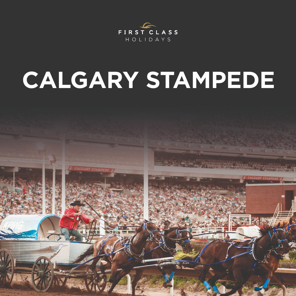 First Class Holidays tweet media