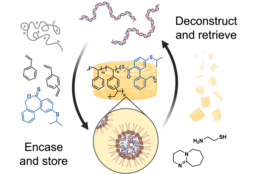 MIT Chemistry (@chemistrymit) on Twitter photo Inspired in part by the movie #JurassicPark, researchers from <a href="/johnsonchem/">The Jeremiah Johnson Group</a> have developed a glassy, amber-like polymer that can be used for long-term storage of DNA, whether entire human genomes or digital files such as photos.
chemistry.mit.edu/chemistry-newsโฆ Inspired in part by the movie #JurassicPark, researchers from <a href="/johnsonchem/">The Jeremiah Johnson Group</a> have developed a glassy, amber-like polymer that can be used for long-term storage of DNA, whether entire human genomes or digital files such as photos.
chemistry.mit.edu/chemistry-newsโฆ