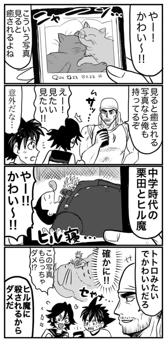 ムサシの癒し⚔️🌰😈 