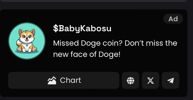 Baby Kabosu tweet media