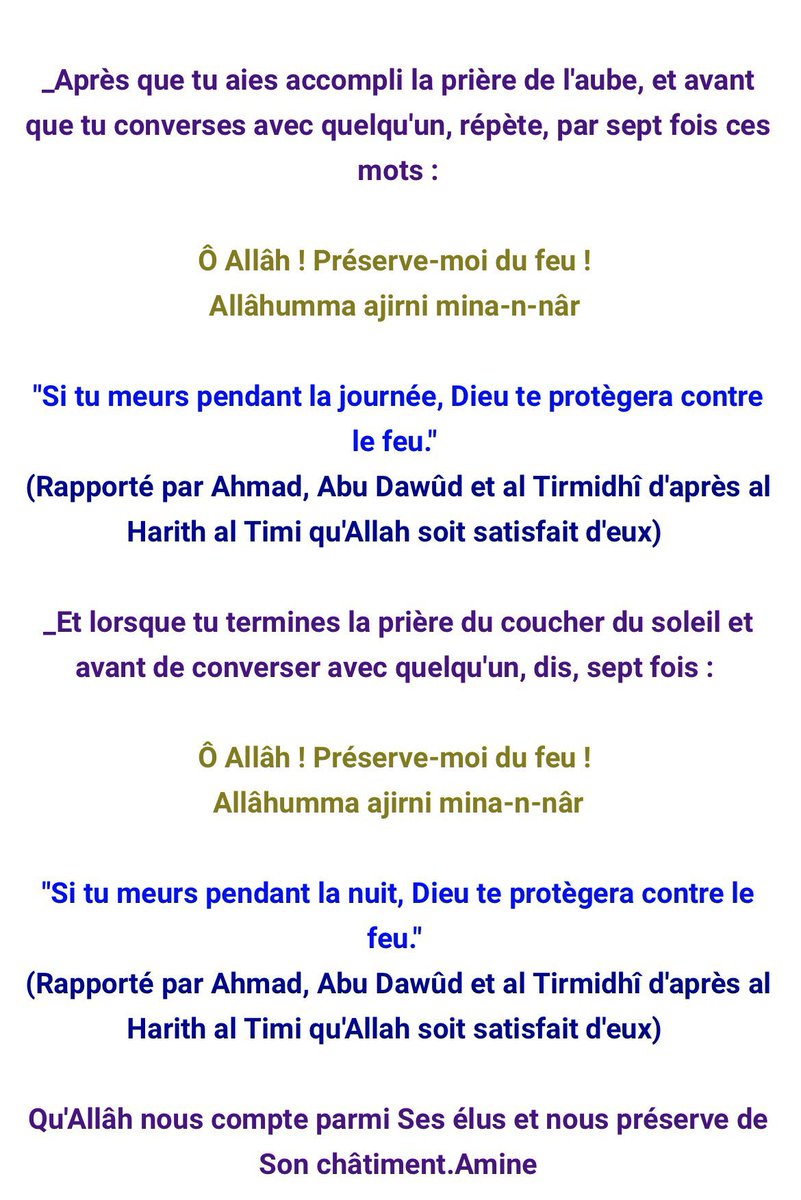 🐵 tweet media