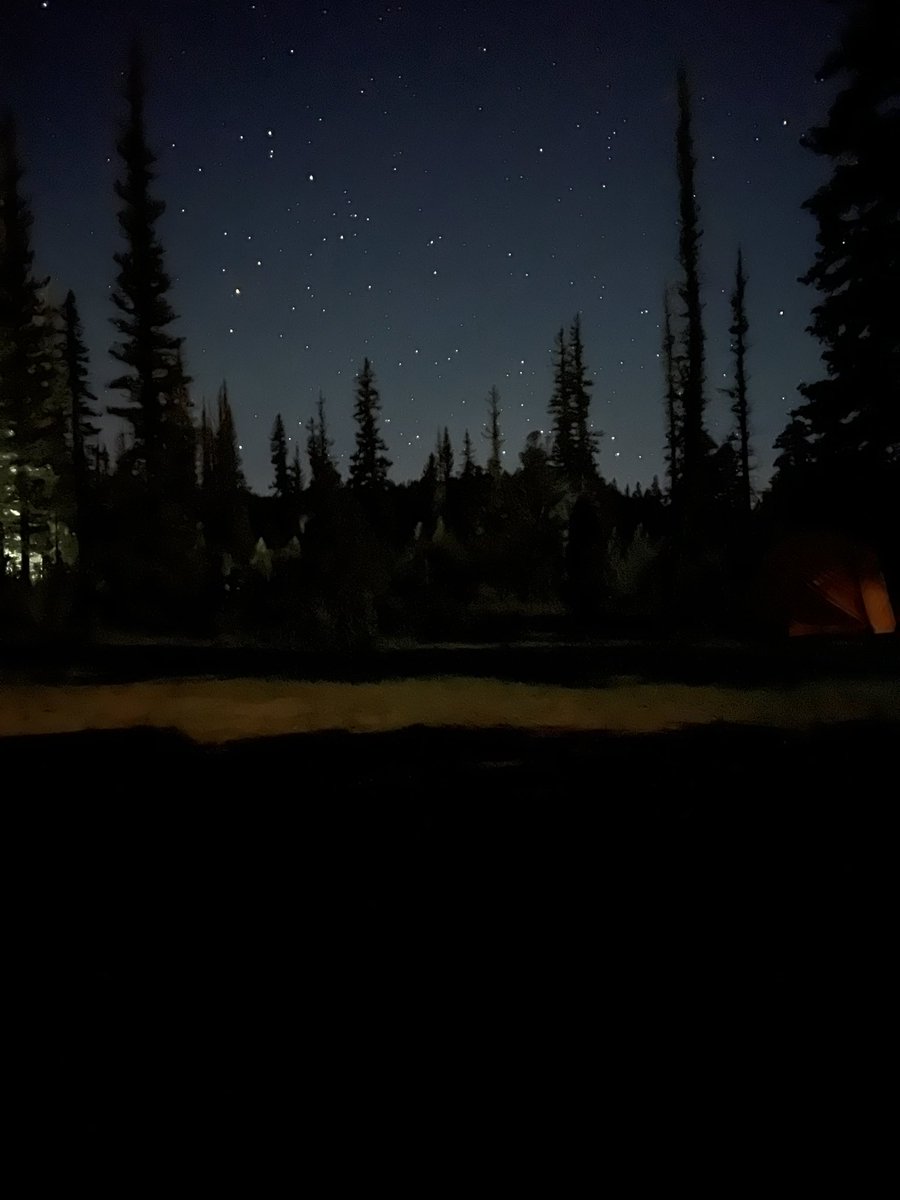 SFSFieldStudy's tweet photo. Look at these happy campers enjoying Sulpher Creek!🏞️ The stars out here are beautiful, these pictures don’t do them justice!🌌🌟

🚐 #summerfieldstudies2024 ☀️ https://t.co/nsKyOOFC0b