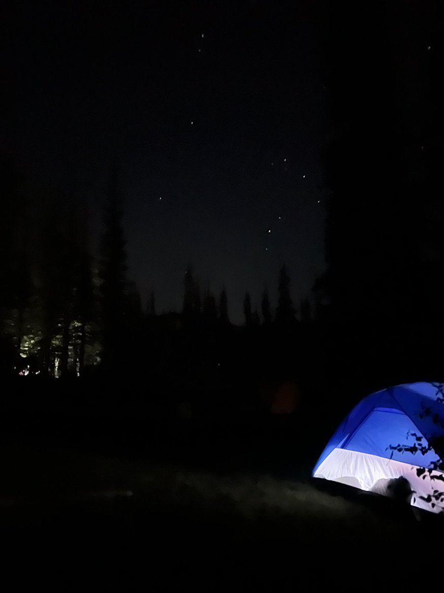 Look at these happy campers enjoying Sulpher Creek!🏞️ The stars out here are beautiful, these pictures don’t do them justice!🌌🌟

🚐 #summerfieldstudies2024 ☀️