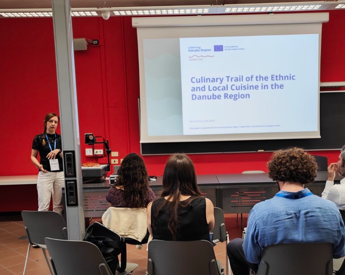 BorutRoncevic's tweet photo. Two co-authored presentations at Regional Studies Association annual conference. With Tamara on Culinary Trail project (Interreg Danube Region) and with Ksenia on social structuration of industrial localities. A good day. #CulinaryTrail #research #development #academia #RSA24 #danube #danubeinterreg #danubeinterregproject