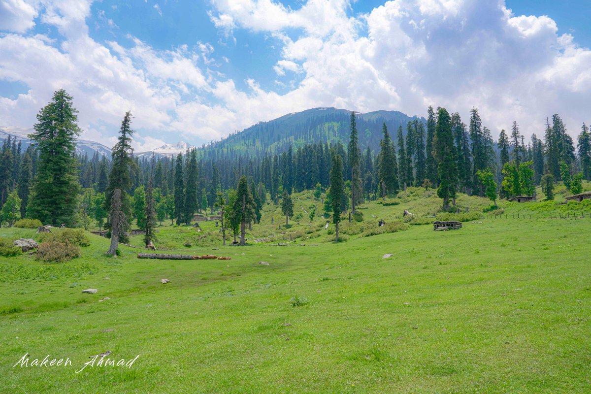 Naralwyn Meadows: Nestled in the serene lap of the Pir Panjal range, just 8 km away from Aharbal, lies the breathtaking meadow of Naralwyn. This untouched paradise offers a moderate trail that rewards adventurers with mesmerizing vistas and peaceful surroundings.