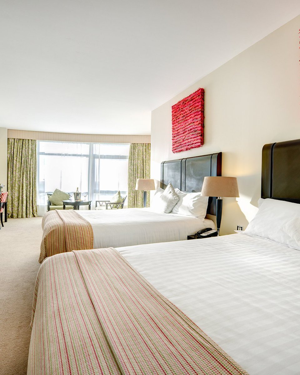 No1CorkHotel's tweet photo. After a day exploring Cork, unwind in our bright & airy bedrooms at Cork International Hotel. Ultimate comfort awaits! ππ
Book Online at https://t.co/ajpaiNPWGH
#Cork #Purecork #HotelsCork #HotelBreaks https://t.co/bZvA7qsxUI
