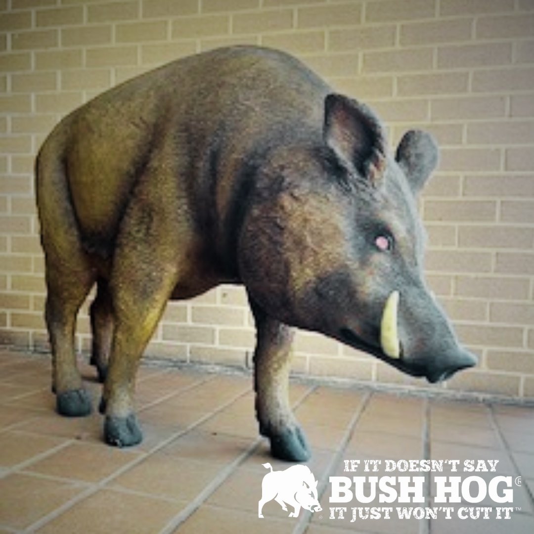 Bush Hog tweet media