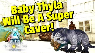 zadirakindle's tweet photo. We have new babies and we tame a shiny Rosy Pteranodon and a Tiger Dire Bear? Having fun in Ark, come join us! #ARKSurvivalAscended #ArkFun #playARK 
https://t.co/qP7Lzyz4Qy https://t.co/LdeWMtIENa
