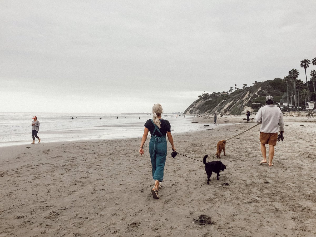 My sweet Beignet “Benny” passed away this morning. I found him in a New Orleans trash can in 2012. He got me through high school, college, a year in California (that guy looooved the beach), masters, med school, &amp; all the way up to THE morning I start residency. The best buddy.