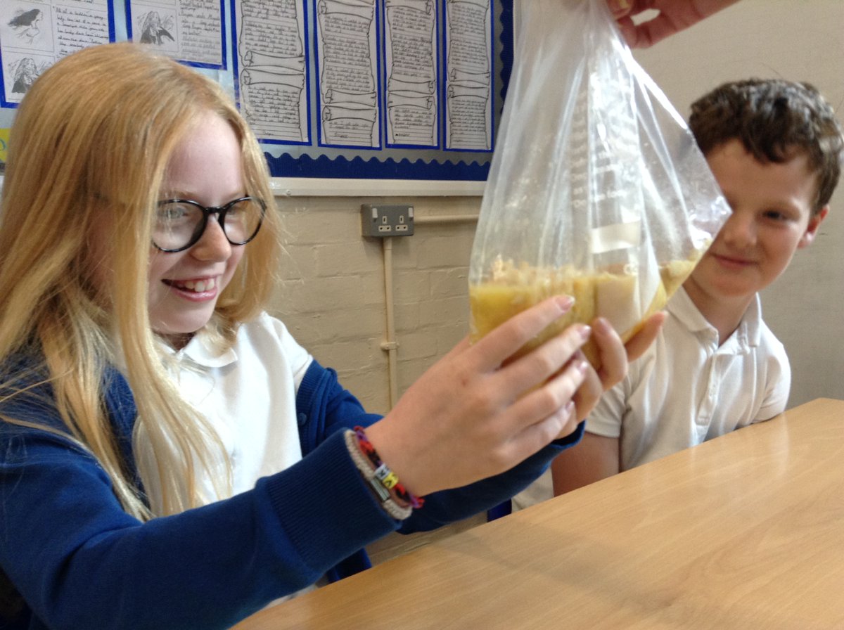 latimerprimary's tweet photo. 4LV have had great fun this afternoon making a model of our digestive system. #Latimerscience #bringingsciencetolife #whatexcitement https://t.co/ru7NjF5AsI