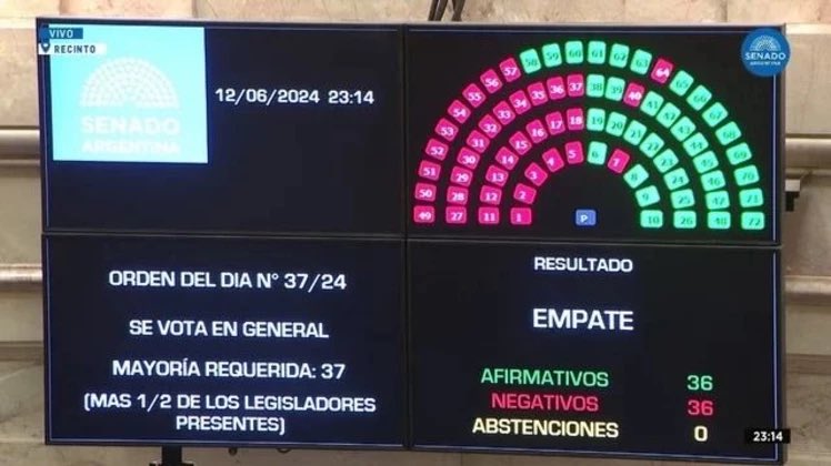 Lubertino's tweet photo. Anoche Senado aprobó con modificaciones. Hay q ver q pasa en Diputadxs. Salió lo más grave: las #facultadesdelegadas, con las que va hacer lo que quiere, y el #RIGI, por lo que nos quedamos sin país. https://t.co/MQcT2sMODx