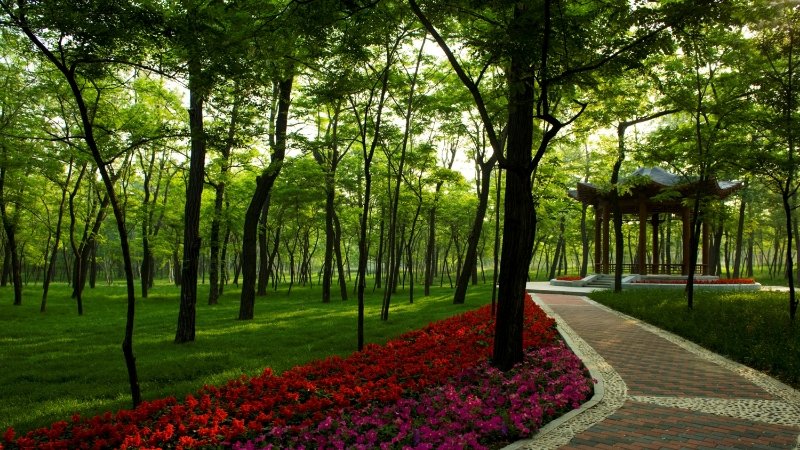 DiscoverLN's tweet photo. #LiaoningTourism #DiscoverLiaoning The Golden Coast of Baisha Bay in Yingkou City features smooth, clear waters, gentle waves, and fine sand. It is renowned as the 'Top Beach in Northeast China.' ๐๐๏ธโจ#BaishaBay #TopBeach https://t.co/lN4GlCsZN6