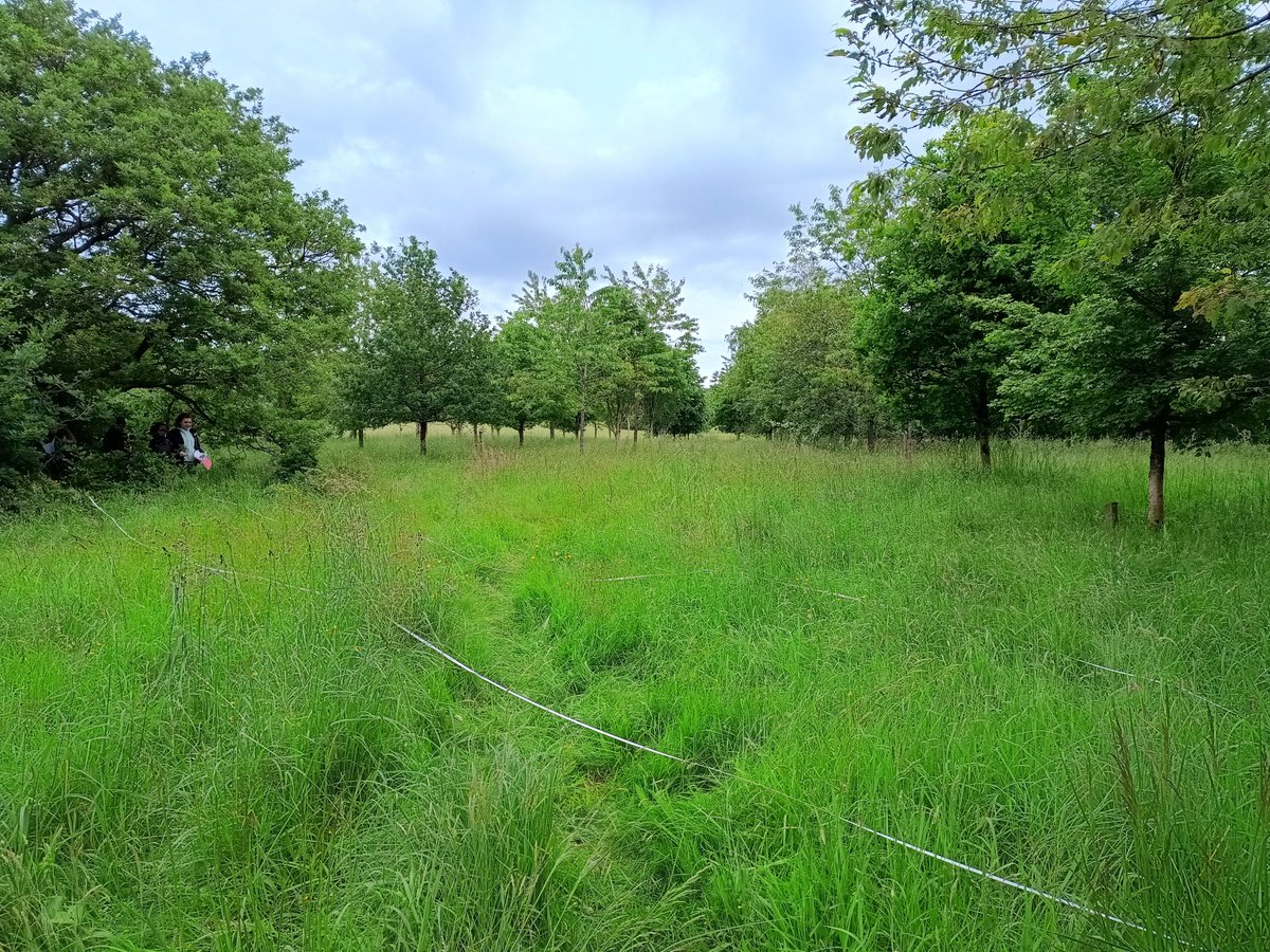 Chetham's Science tweet media