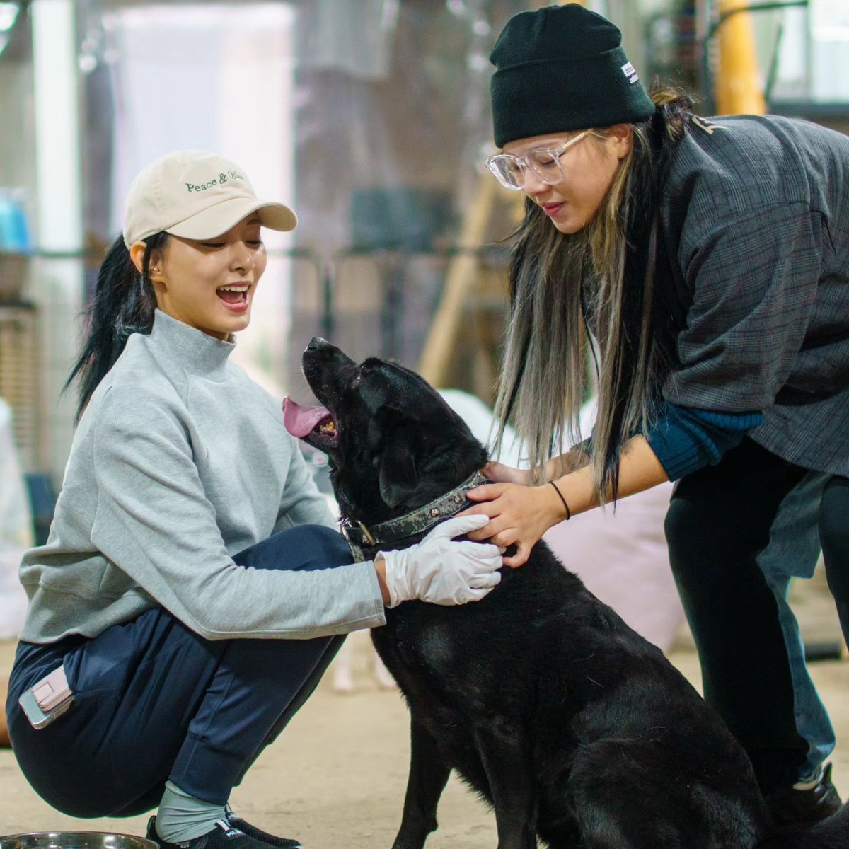 godmitzu's tweet photo. Our golden-hearted Tzuyu always volunteering and donating 🥺

#HappyTzuyuDay #HappyBirTZUday #원스의_여름빛_쯔위 https://t.co/GbQpLiGel3