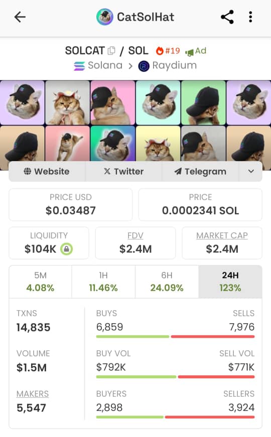 JuliusElum's tweet photo. I told you to buy $SOLCAT within few hours it did over 100%

$SOLCAT did over 100% hitting over $3 million market capitalization before a retracement🔥🚀💰

Now brooding for a new move

I said those who didn't buy will cope🚀🔥💰

When I tell you that a project is solid, joke with it at your own coping🔥🚀

CatSolHat currently trending on Dexscreener

Next FOMO stage 💰🔥🚀

The only pumping Solana meme in the market right now when everywhere is red.