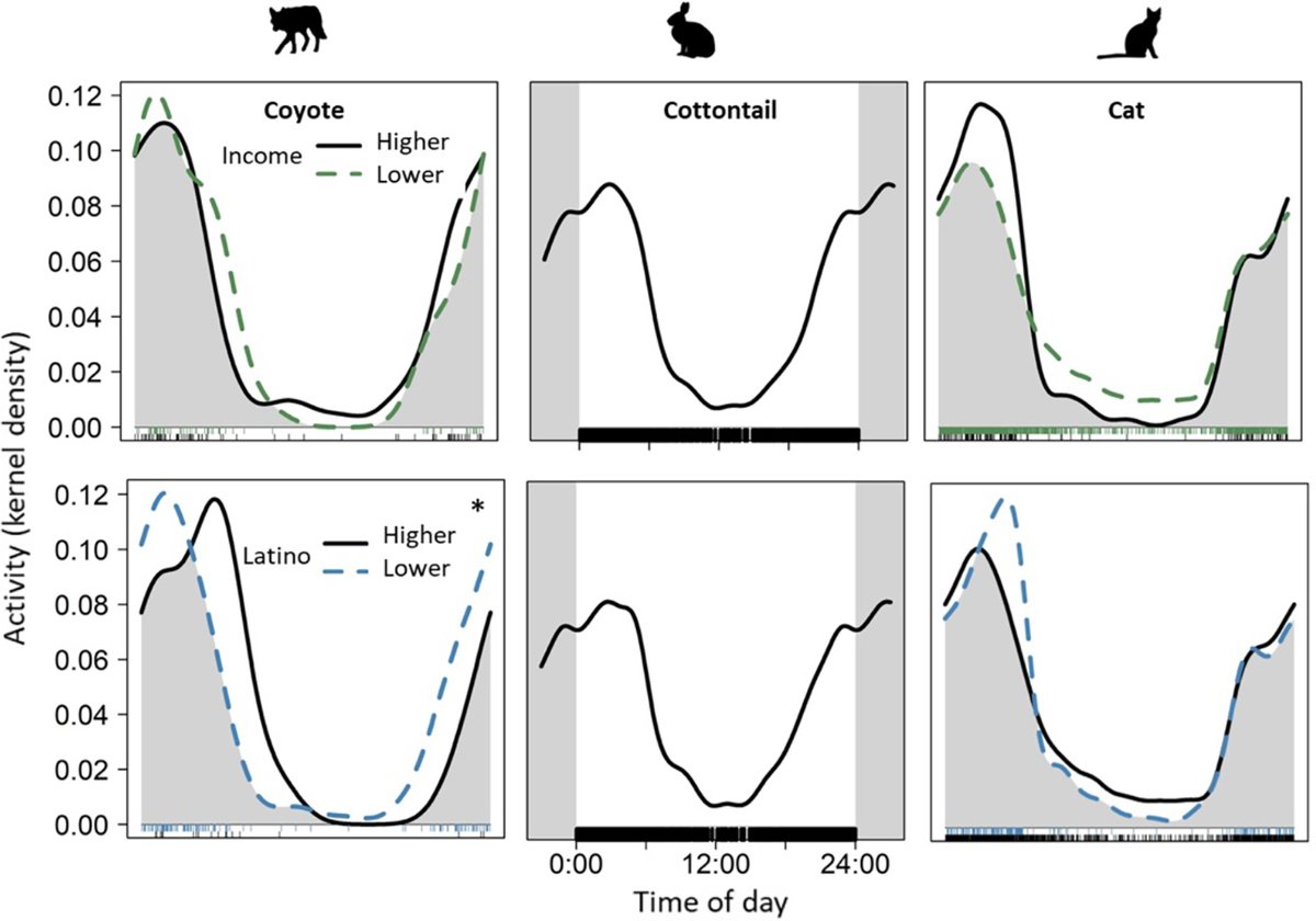 New in <a href="/ESAEcosphere/">Ecosphere</a>: A study from Phoenix, AZ is among the first to show that both neighborhood ethnicity and income influence urban wildlife distributions &amp; activity

doi.org/10.1002/ecs2.4…

With #OpenData in <a href="/EDIgotdata/">EDI</a>
#OpenAccess #NSFFunded <a href="/NSF/">U.S. National Science Foundation</a> <a href="/EcoAleigh/">Alexandreana Cocroft</a>