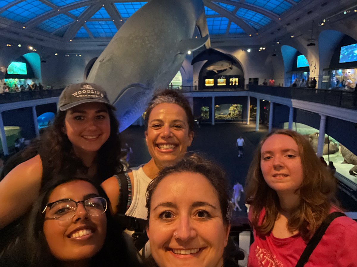 NewLebanonCSD tweet media