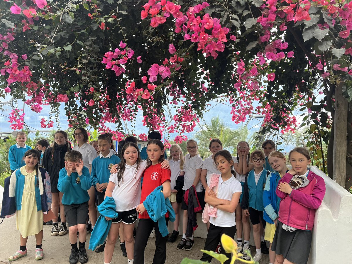 Bude Primary Academy - Juniors tweet media